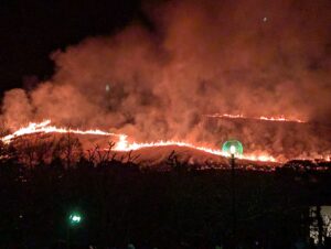 若草山山焼き